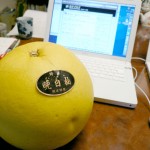 晩白柚(ばんぺいゆ)